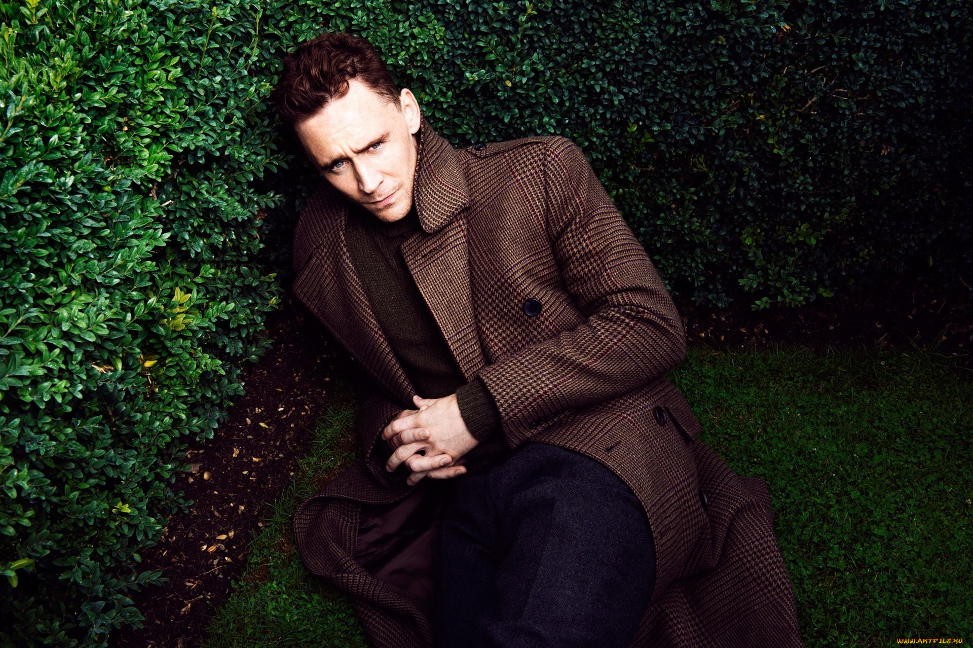 , tom hiddleston, 